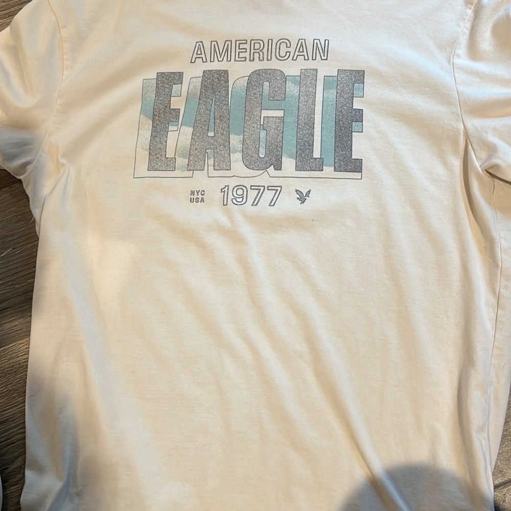 American Eagle Outfitters White and Blue Graphic Tee